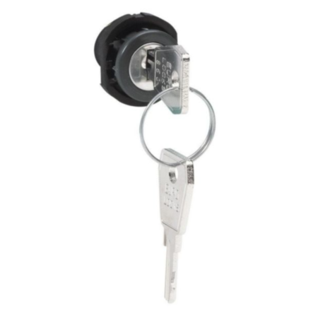 Legrand 001766 Lock, with 2 keys, for installation in Plexo damp room distributor doors.