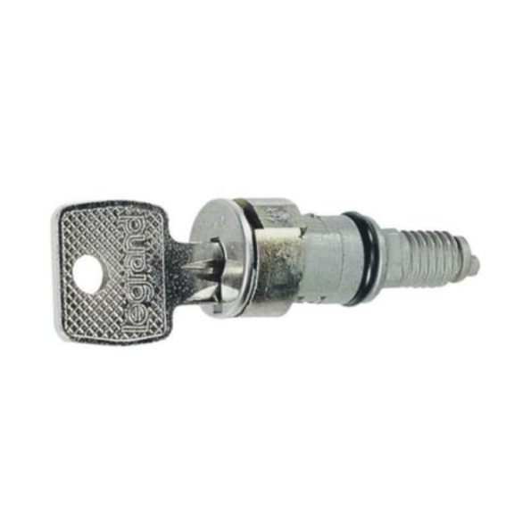 Legrand 036822 Key barrel - for key No 405 - supplied with set of 2 keys