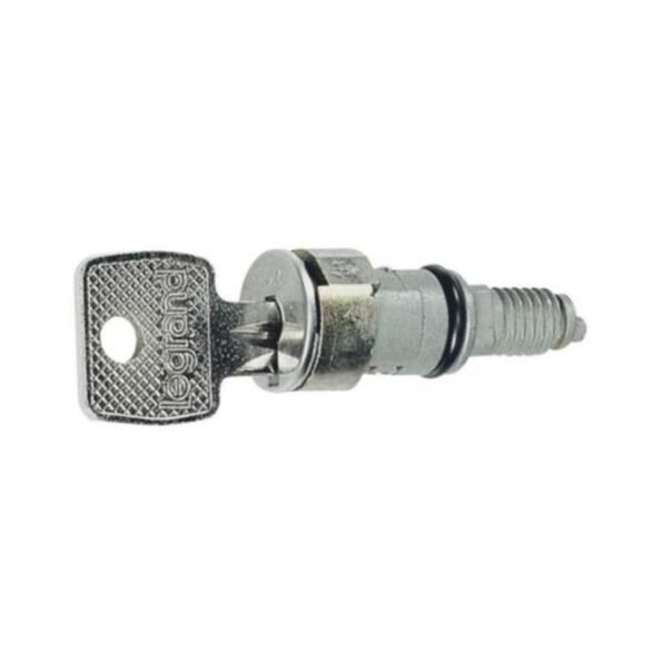 Legrand 036825 Key barrel - for key No 1242 E - supplied with set of 2 keys