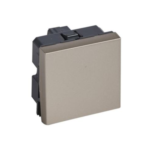 Legrand 570035 2-way switch Arteor 10 AX 250 V~ - 2 modules square version - champagne